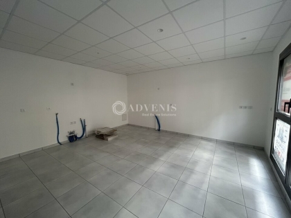 Advenis RES - Immobilier d'entreprises