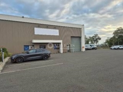 Advenis RES - Immobilier d'entreprises