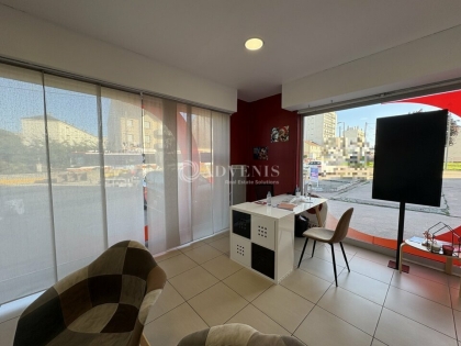 Advenis RES - Immobilier d'entreprises