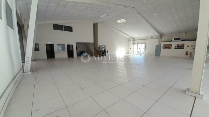 Advenis RES - Immobilier d'entreprises