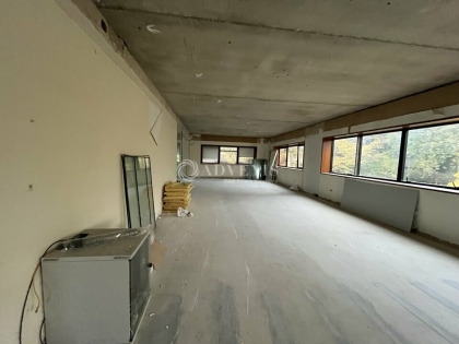 Advenis RES - Immobilier d'entreprises