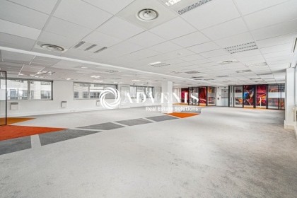 Advenis RES - Immobilier d'entreprises