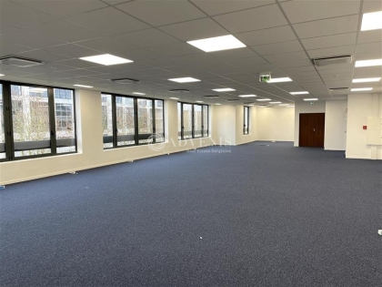 Advenis RES - Immobilier d'entreprises