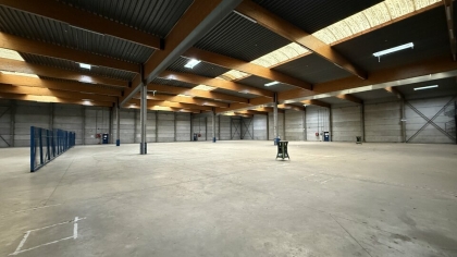 Advenis RES - Immobilier d'entreprises