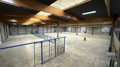 Advenis RES - Immobilier d'entreprises