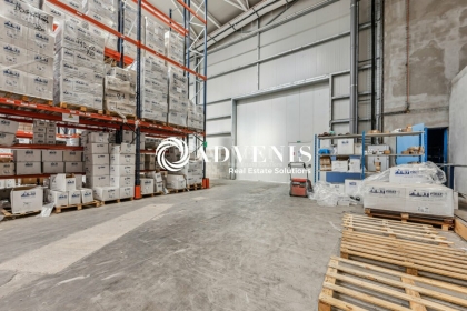 Advenis RES - Immobilier d'entreprises