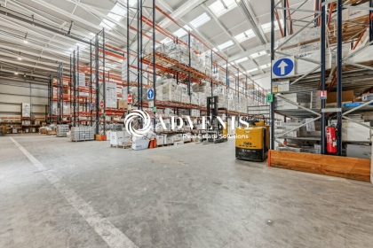 Advenis RES - Immobilier d'entreprises