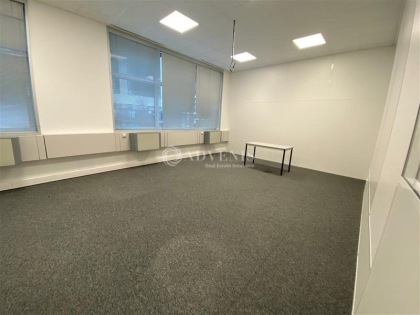 Advenis RES - Immobilier d'entreprises