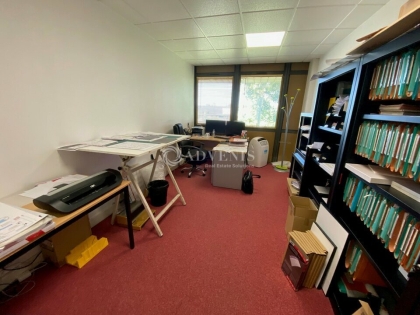 Advenis RES - Immobilier d'entreprises