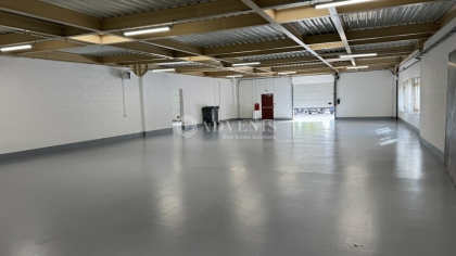 Advenis RES - Immobilier d'entreprises