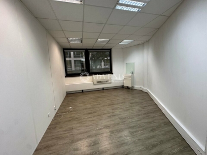 Advenis RES - Immobilier d'entreprises