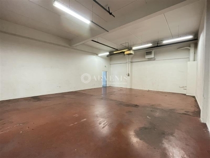 Advenis RES - Immobilier d'entreprises