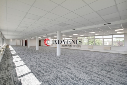 Advenis RES - Immobilier d'entreprises