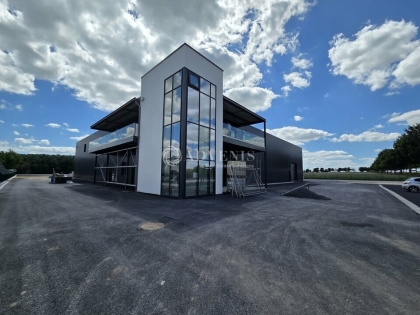 Advenis RES - Immobilier d'entreprises