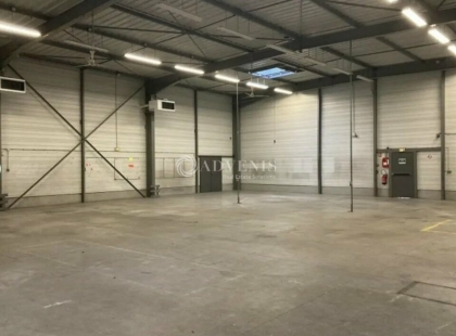 Advenis RES - Immobilier d'entreprises