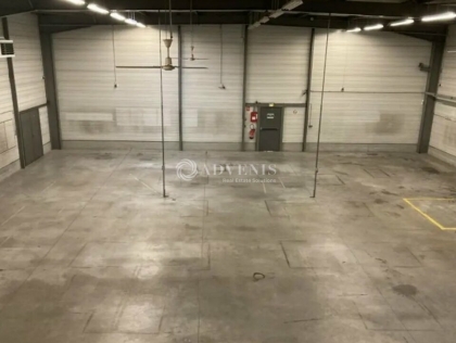 Advenis RES - Immobilier d'entreprises