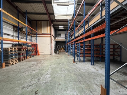 Advenis RES - Immobilier d'entreprises