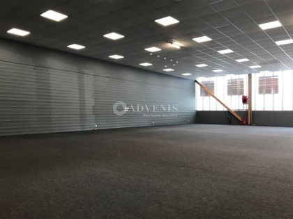 Advenis RES - Immobilier d'entreprises