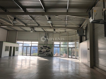 Advenis RES - Immobilier d'entreprises