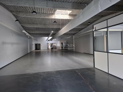 Advenis RES - Immobilier d'entreprises