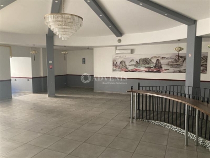 Advenis RES - Immobilier d'entreprises