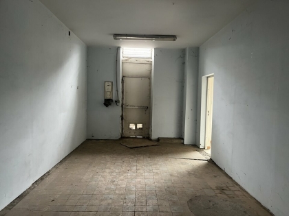 Advenis RES - Immobilier d'entreprises