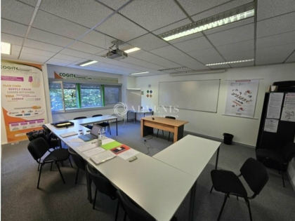 Advenis RES - Immobilier d'entreprises