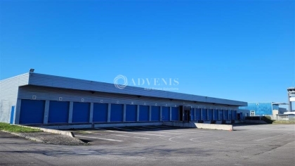 Advenis RES - Immobilier d'entreprises