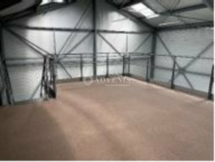 Advenis RES - Immobilier d'entreprises