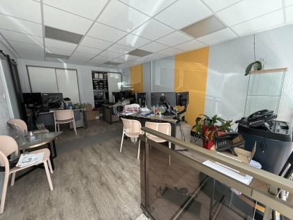 Advenis RES - Immobilier d'entreprises