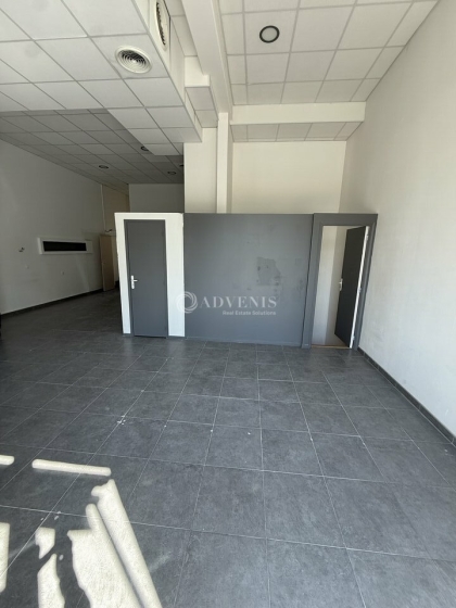 Advenis RES - Immobilier d'entreprises