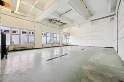 Advenis RES - Immobilier d'entreprises