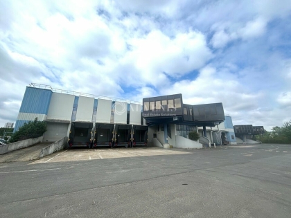 Advenis RES - Immobilier d'entreprises