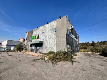 Advenis RES - Immobilier d'entreprises