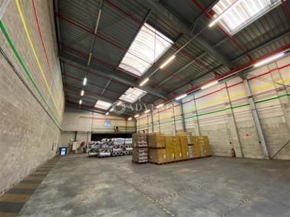 Advenis RES - Immobilier d'entreprises