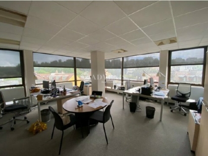 Advenis RES - Immobilier d'entreprises