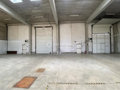 Advenis RES - Immobilier d'entreprises