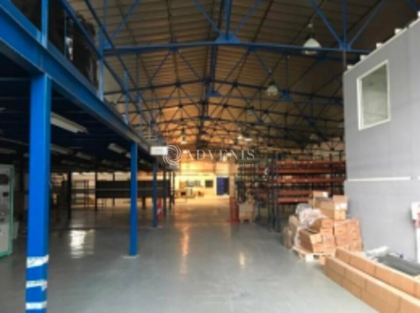 Advenis RES - Immobilier d'entreprises