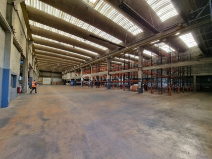 Advenis RES - Immobilier d'entreprises