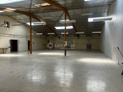 Advenis RES - Immobilier d'entreprises