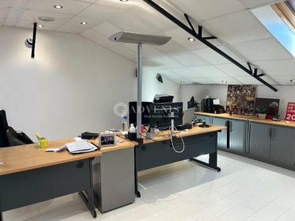 Advenis RES - Immobilier d'entreprises