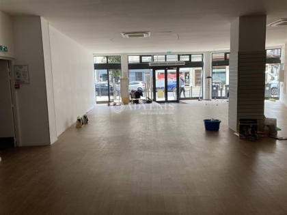 Advenis RES - Immobilier d'entreprises