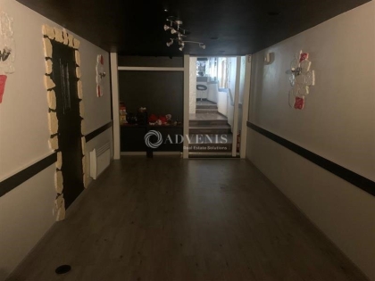 Advenis RES - Immobilier d'entreprises