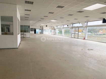 Advenis RES - Immobilier d'entreprises