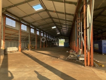 Advenis RES - Immobilier d'entreprises