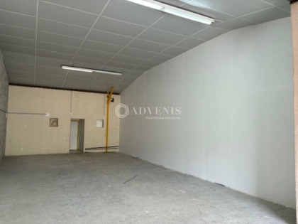 Advenis RES - Immobilier d'entreprises