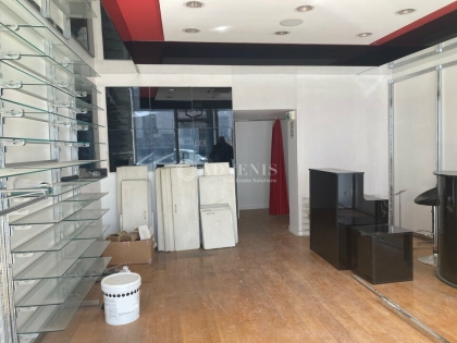 Advenis RES - Immobilier d'entreprises