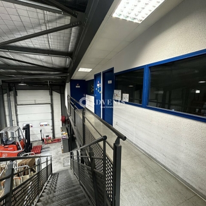 Advenis RES - Immobilier d'entreprises