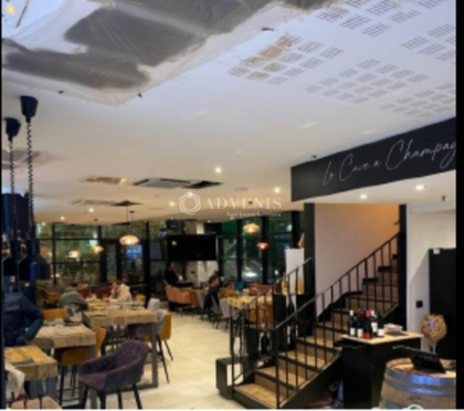 Advenis RES - Immobilier d'entreprises