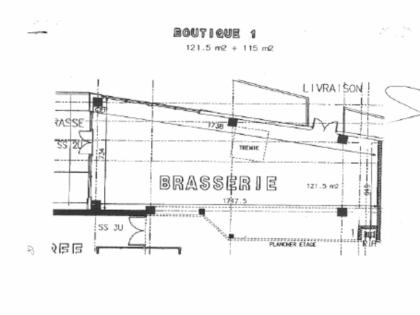 Advenis RES - Immobilier d'entreprises